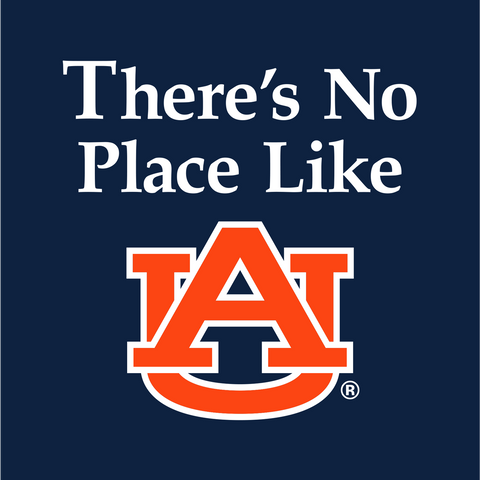 There's No Place Like AU Decal